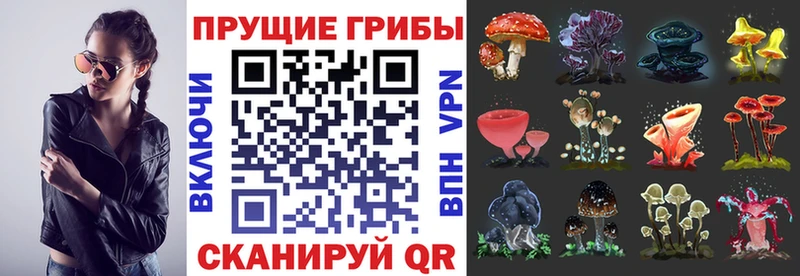 Галлюциногенные грибы GOLDEN TEACHER  цена   Уварово 