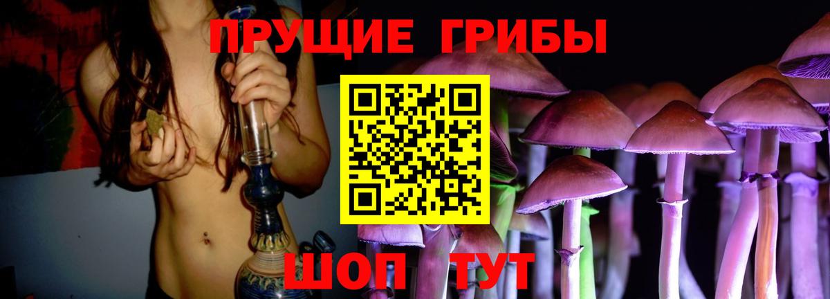 Псилоцибиновые грибы Psilocybe Уварово
